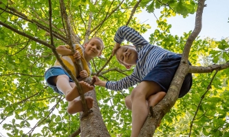 Zwei Jungen sitzen lachend in einer Baumkrone